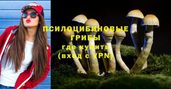хмурый Абинск