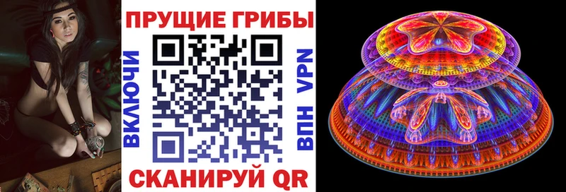MEGA зеркало  Нижняя Тура  Псилоцибиновые грибы Psilocybine cubensis  даркнет сайт 